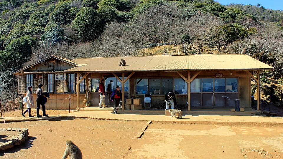 Arashiyama Monkey Park