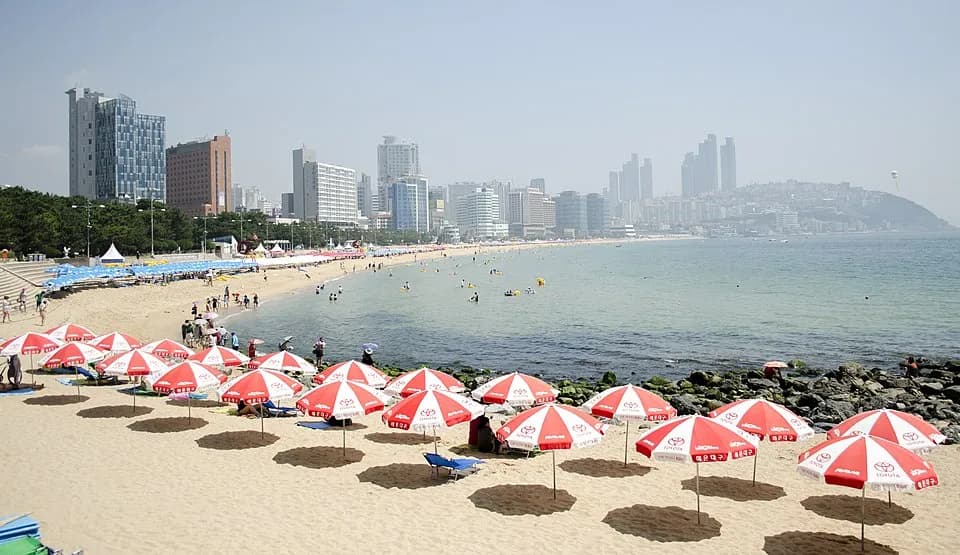 Where to Stay in Busan: Best Areas for Beaches, Food & Culture