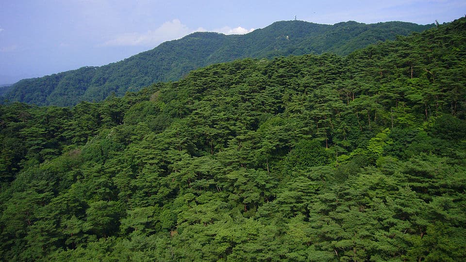 Mount Rokko