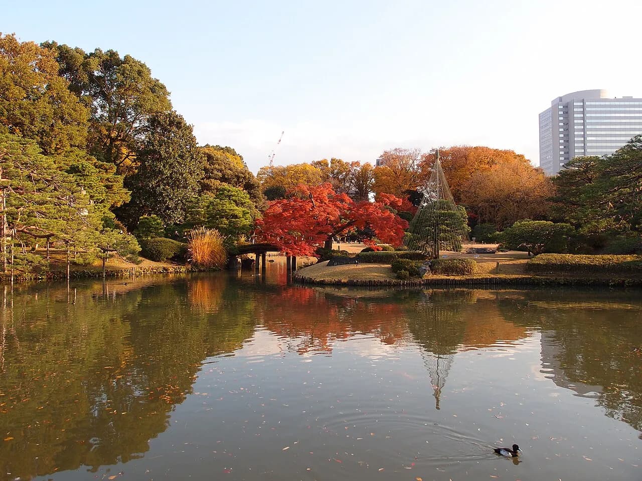 Meet at Komagome Station